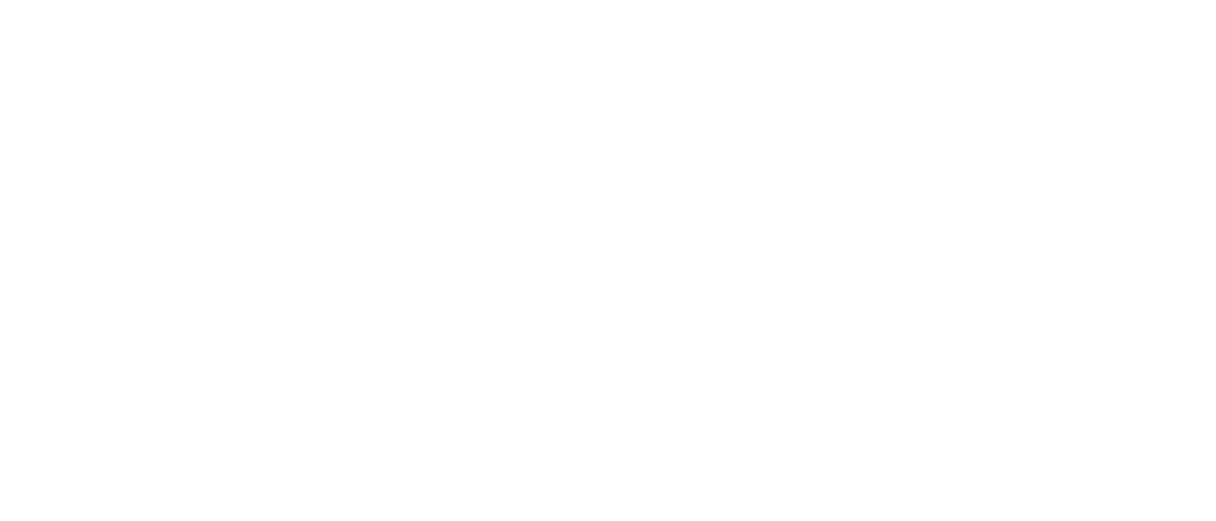SBSI logo white